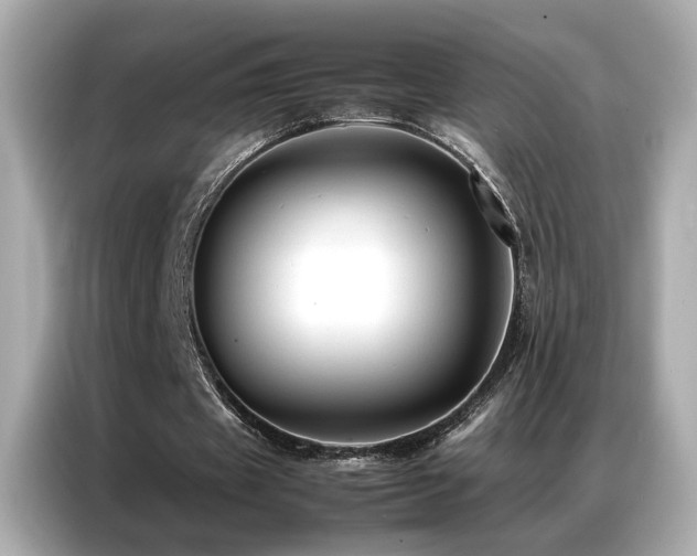 X0000087060433200704181301