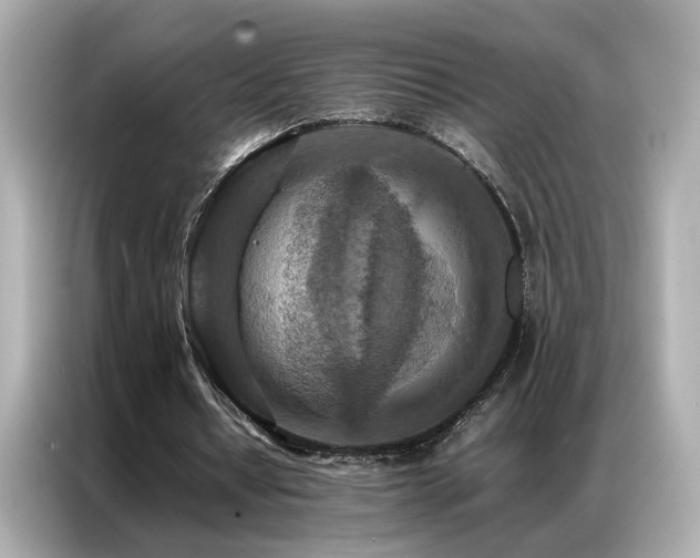 X0000087060434200704181301