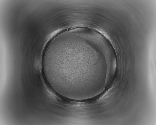 X0000087060438200704181301