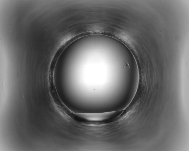 X0000087060439200704181301