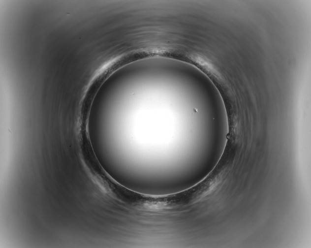 X0000087060440200704181301