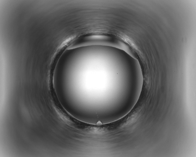 X0000087060442200704181301