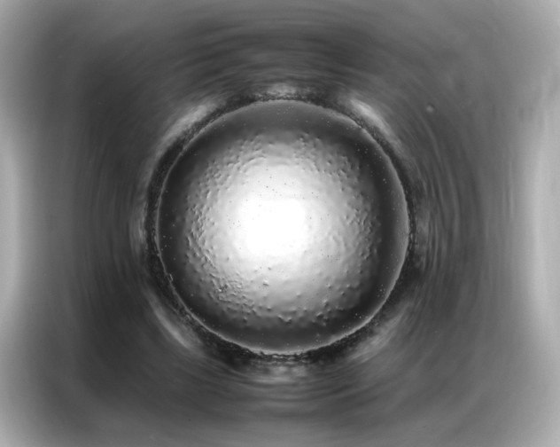 X0000087060443200704181301