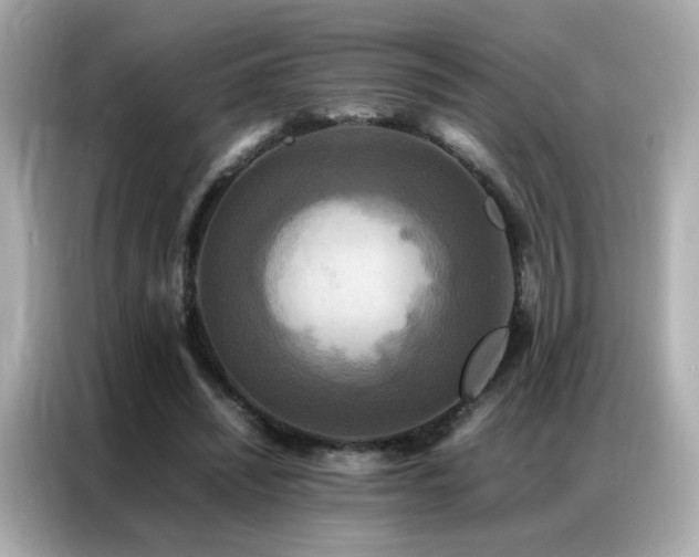 X0000087060444200704181301