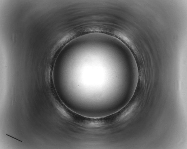 X0000087060445200704181302