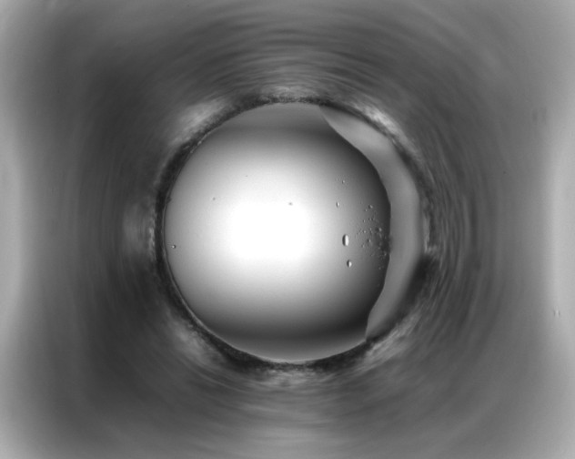 X0000087060446200704181302