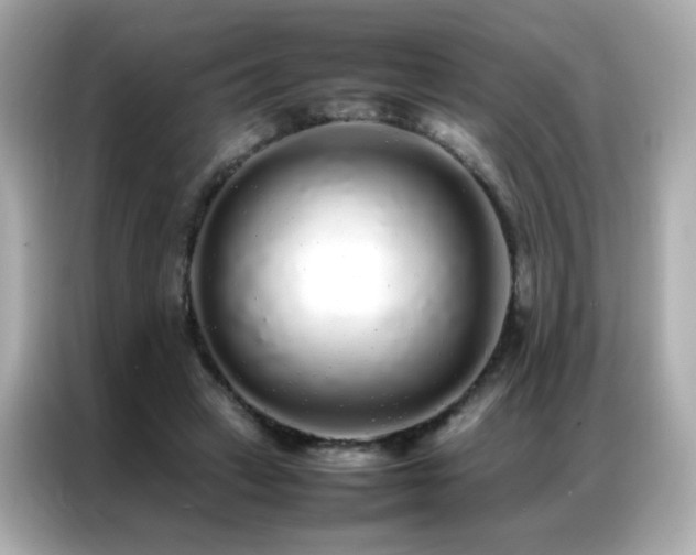 X0000087060449200704181302