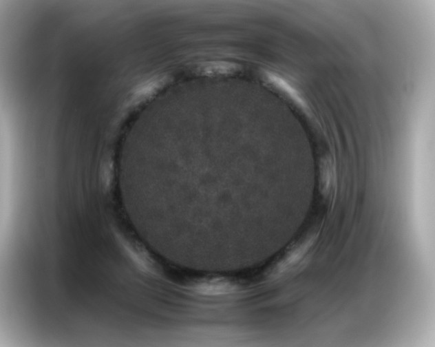 X0000087060451200704181302