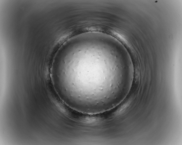 X0000087060453200704181302