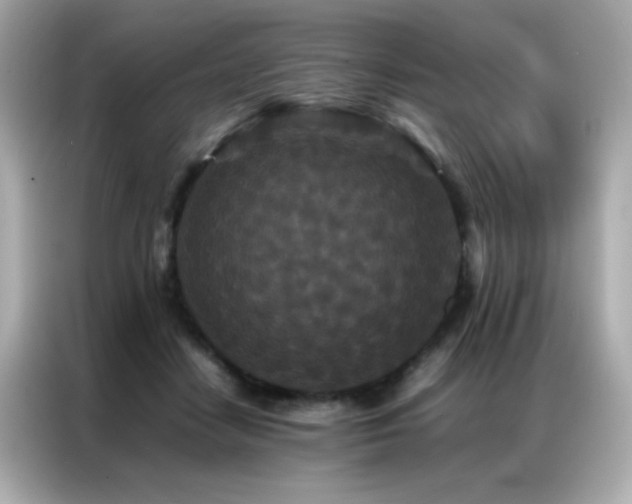 X0000087060458200704181302