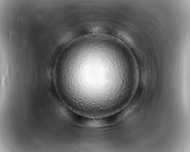 X0000087060461200704181302