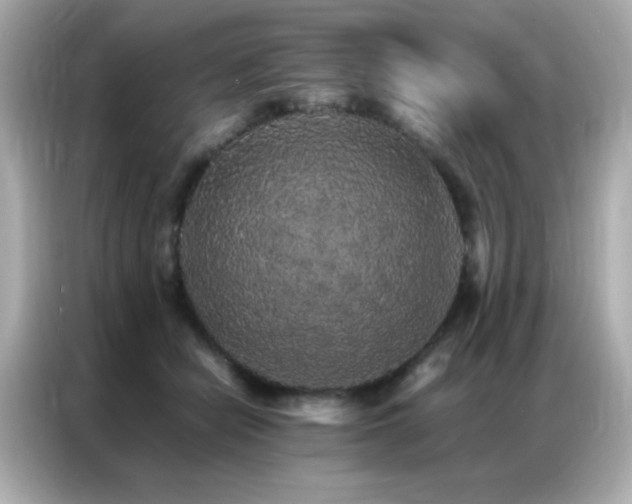 X0000087060462200704181302