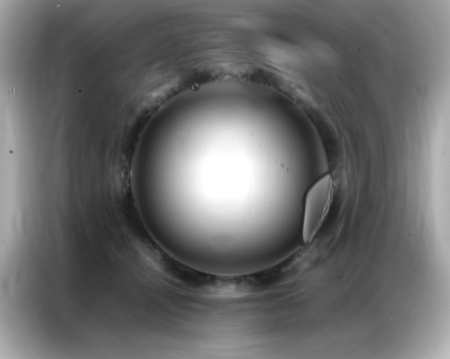 X0000087060464200704181302