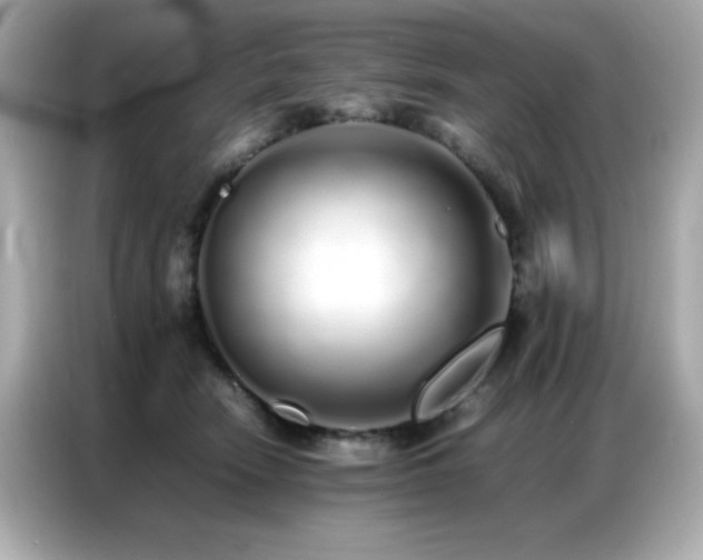 X0000087060466200704181302