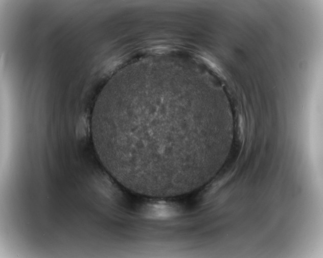 X0000087060467200704181302