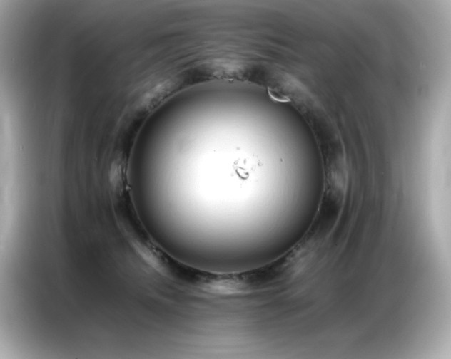 X0000087060468200704181302