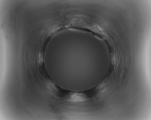 X0000087060471200704181302