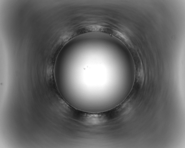 X0000087060473200704181302