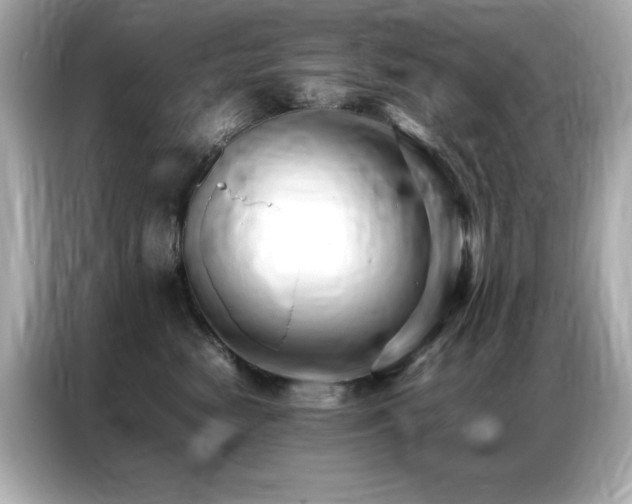 X0000087060474200704181302