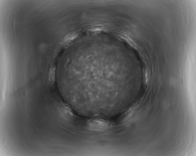 X0000087060475200704181302