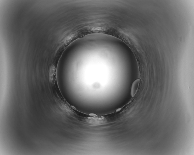 X0000087060480200704181302