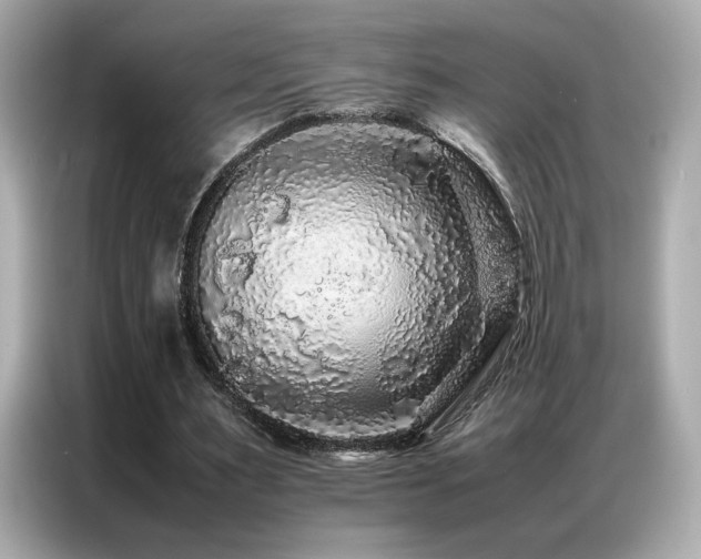 X0000087060483200704181301