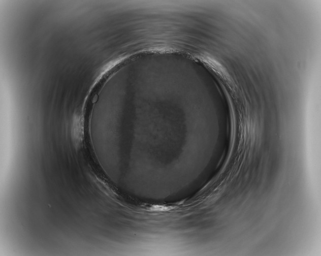 X0000087060484200704181301