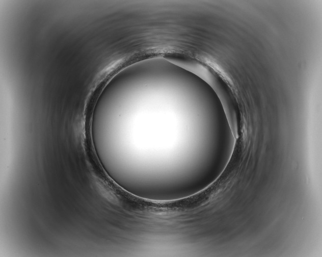 X0000087060486200704181301