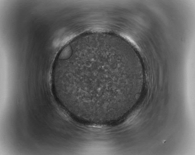 X0000087060487200704181301