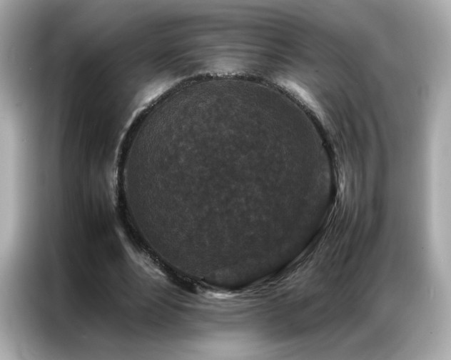 X0000087060488200704181301