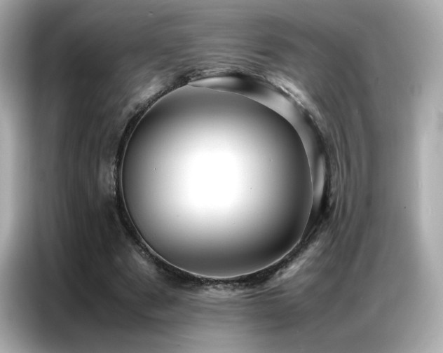 X0000087060489200704181301