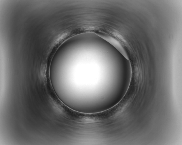 X0000087060490200704181301