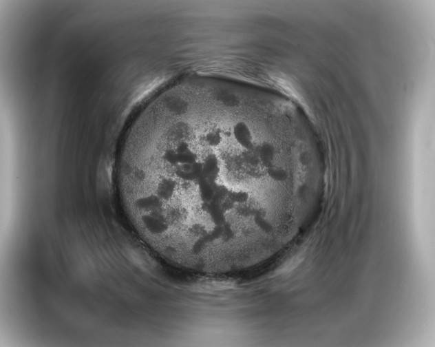 X0000087060491200704181301