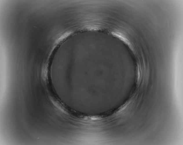 X0000087060492200704181301