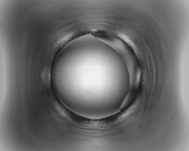 X0000087060493200704181301