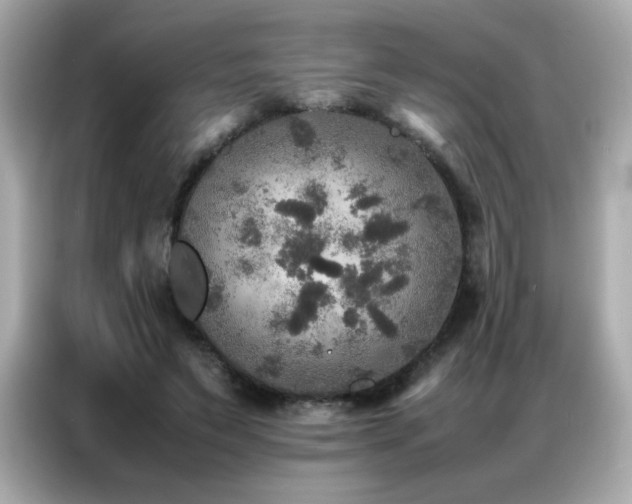 X0000087060495200704181301