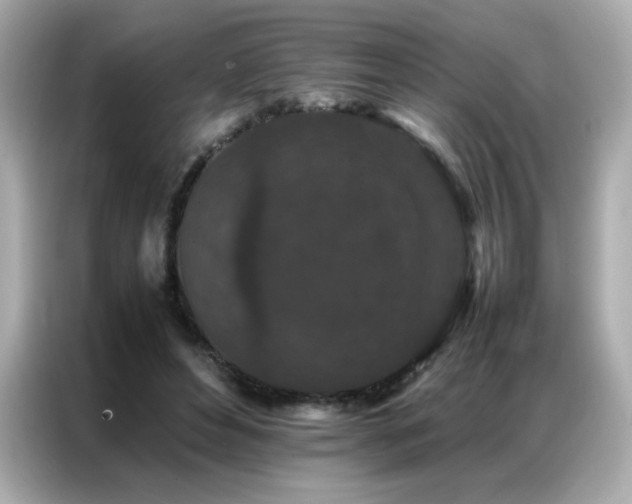 X0000087060496200704181301