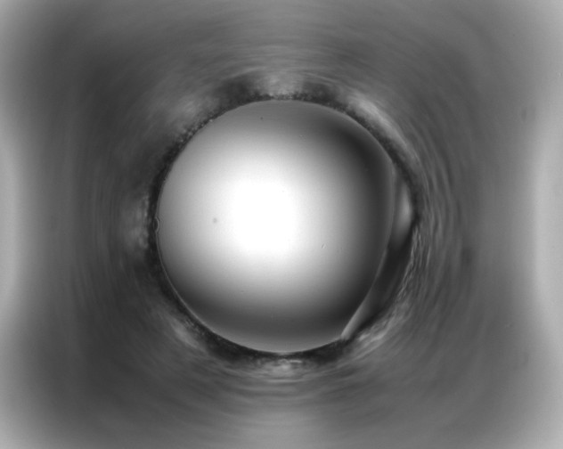 X0000087060497200704181301