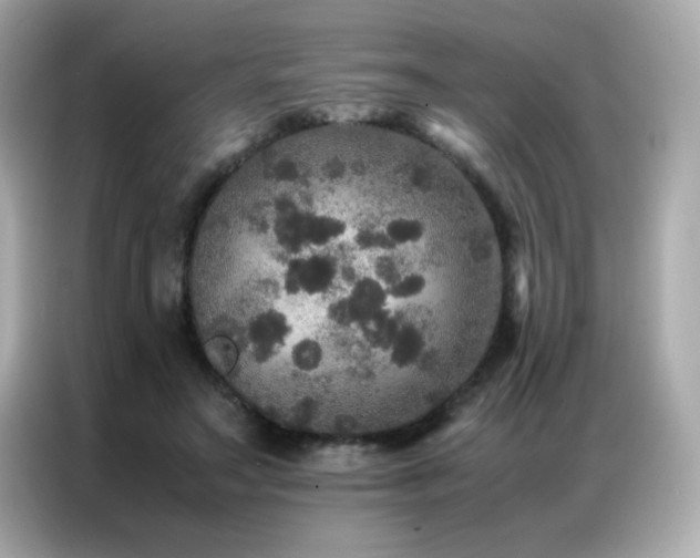 X0000087060499200704181301