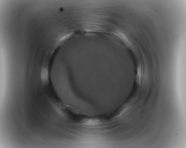 X0000087060500200704181301