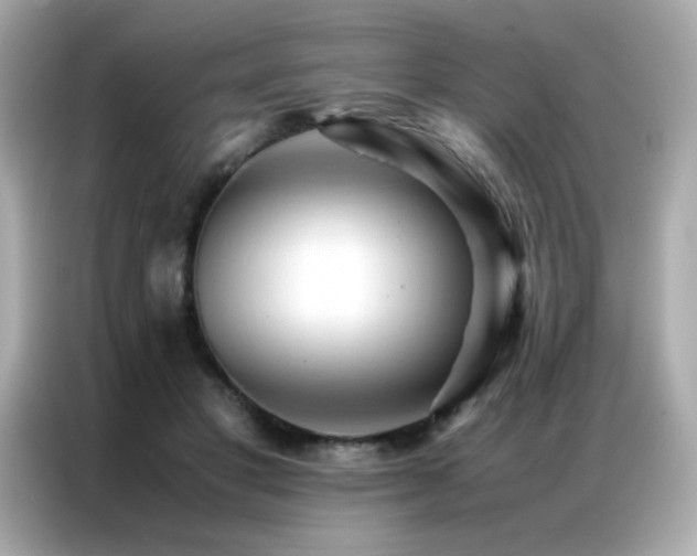 X0000087060501200704181301