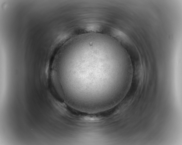 X0000087060502200704181301