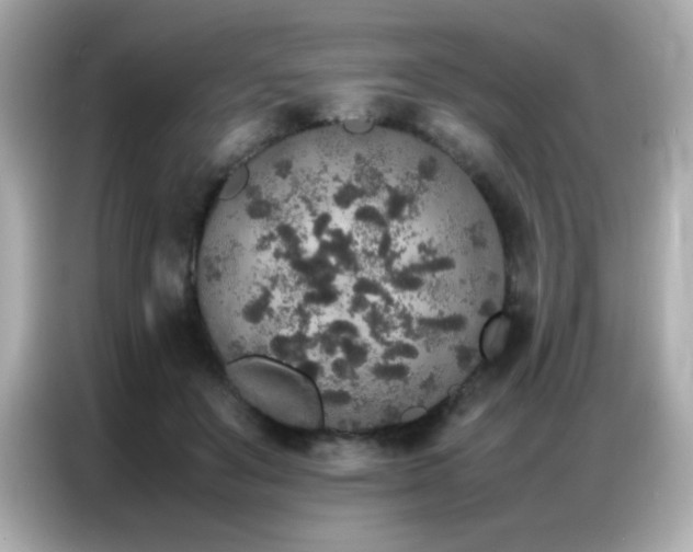 X0000087060503200704181301