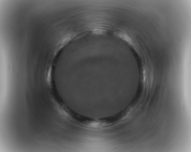 X0000087060504200704181301