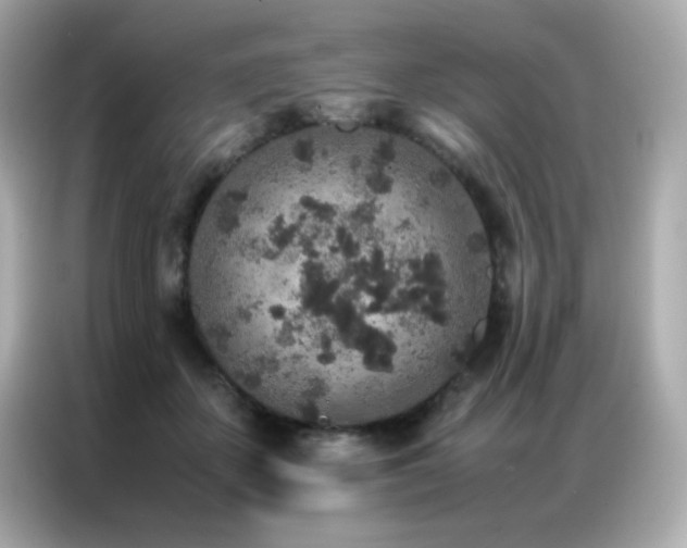 X0000087060507200704181301