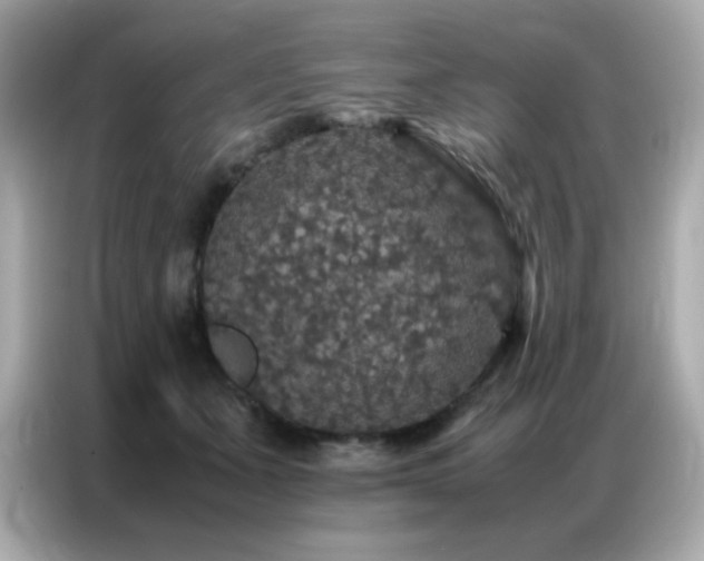 X0000087060511200704181301