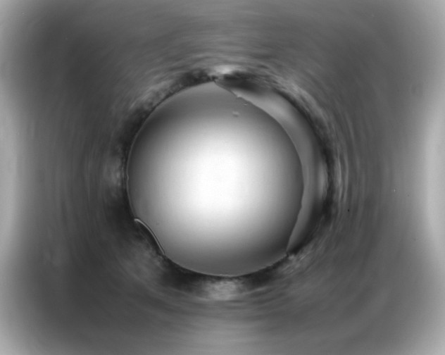 X0000087060513200704181301