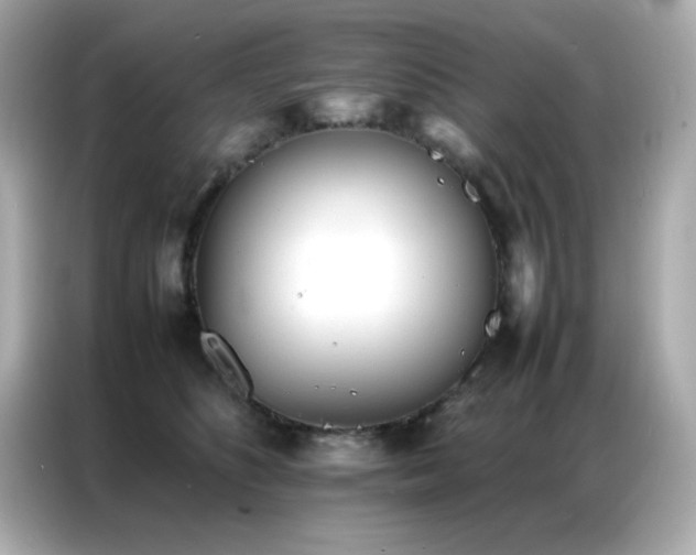 X0000087060516200704181301