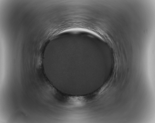 X0000087060517200704181301