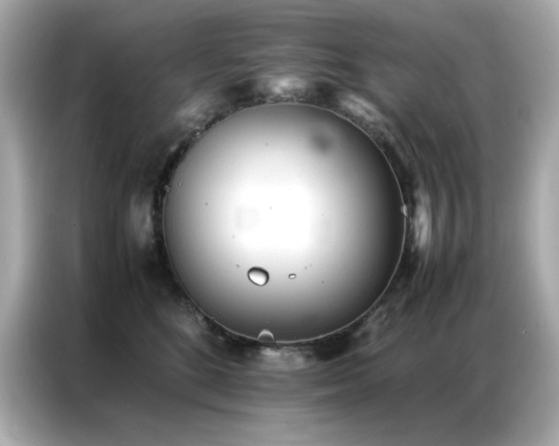 X0000087060520200704181301